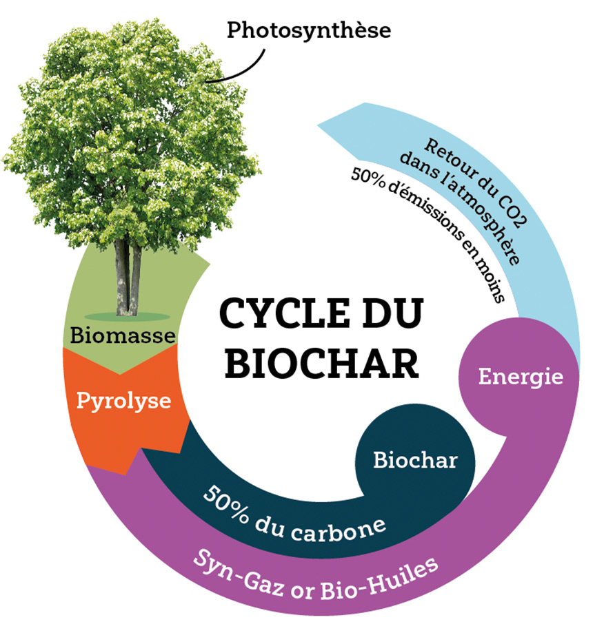 schema-carbon-biomasse-cycle-carbone-avec-biochar-biomasse