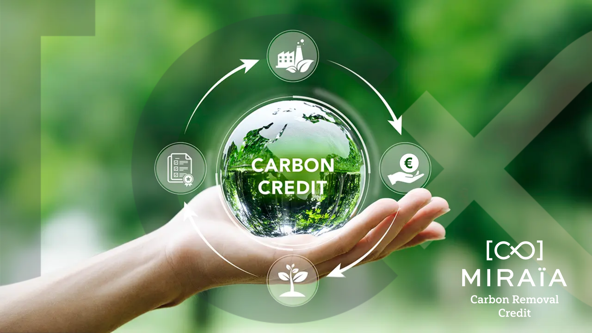 Cheminement du crédit carbone miraia